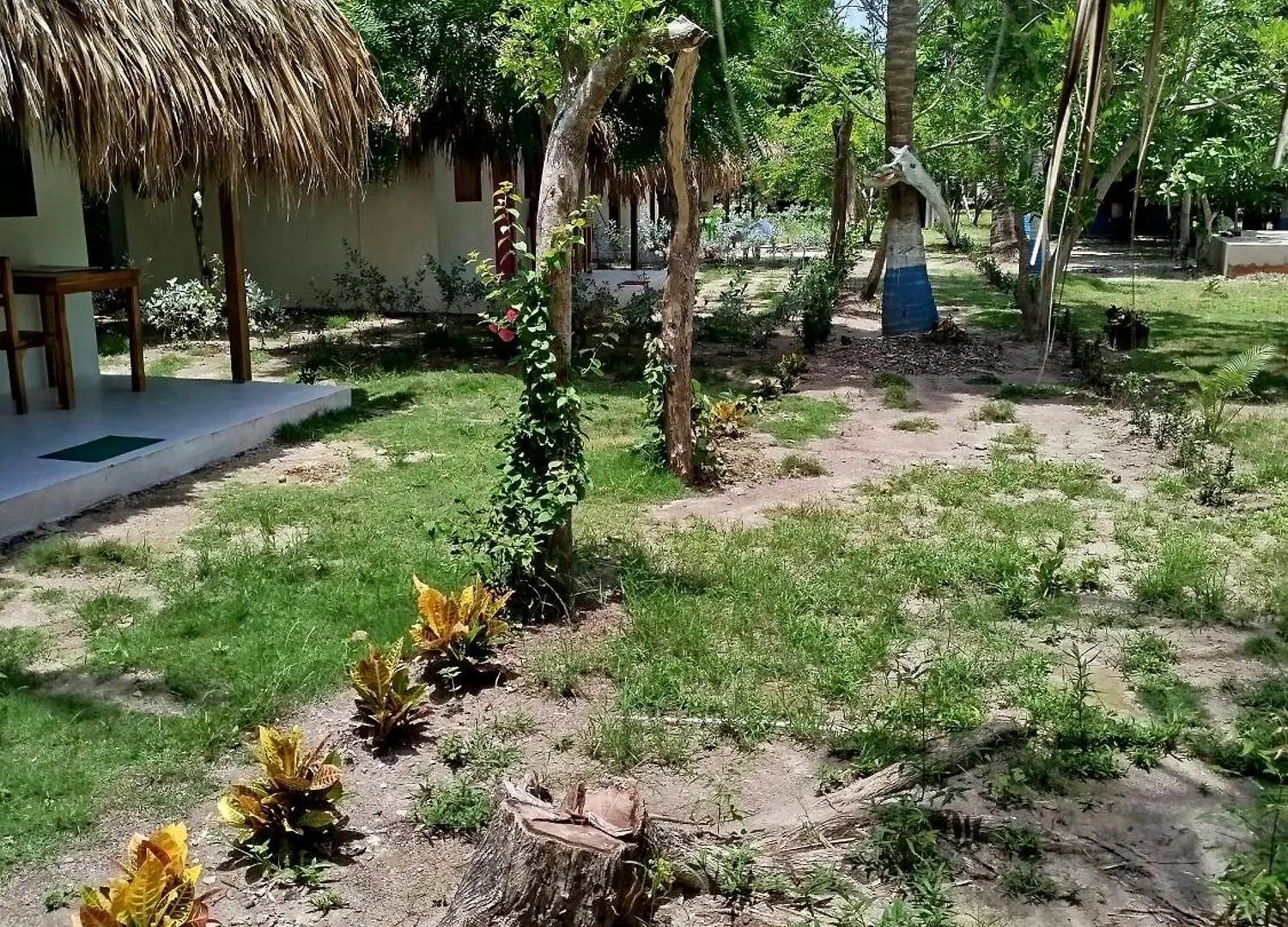 Hotel Coral Sand Islas Del Rosario Isla Grande  0*, Isla Grande (Cartagena)